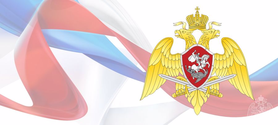 РОСГВАРДИЯ УСТАНОВИЛА ОСОБЕННОСТИ ОСУЩЕСТВЛЕНИЯ В 2020 ГОДУ РАЗРЕШИТЕЛЬНОЙ ДЕЯТЕЛЬНОСТИ
