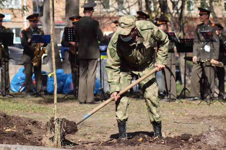 Лес Победы появился во Владивостоке