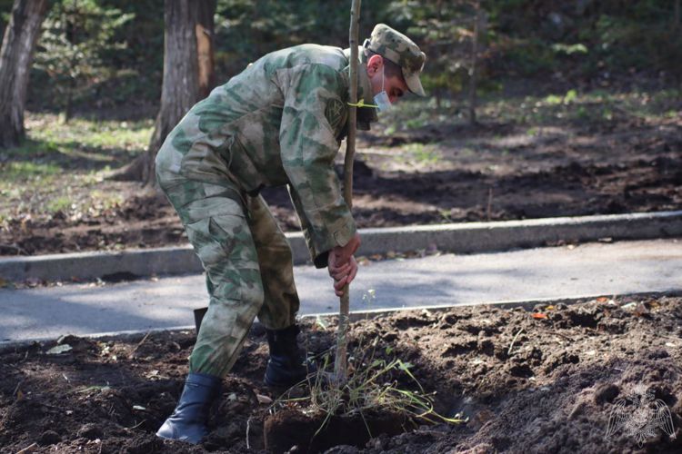 Лес Победы появился во Владивостоке