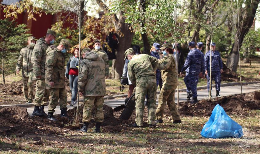 Лес Победы появился во Владивостоке