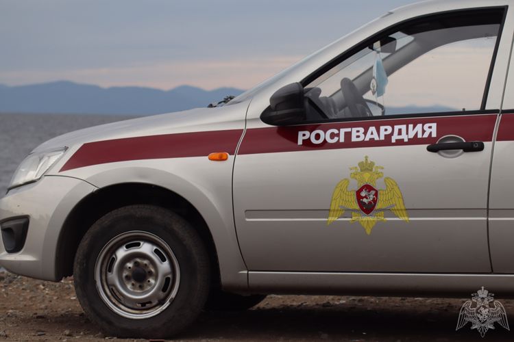 Итоги недели: в Артеме обнаружили угонщика и вандалов, а во Владивостоке задержали буйного гостя с пневматическим пистолетом 