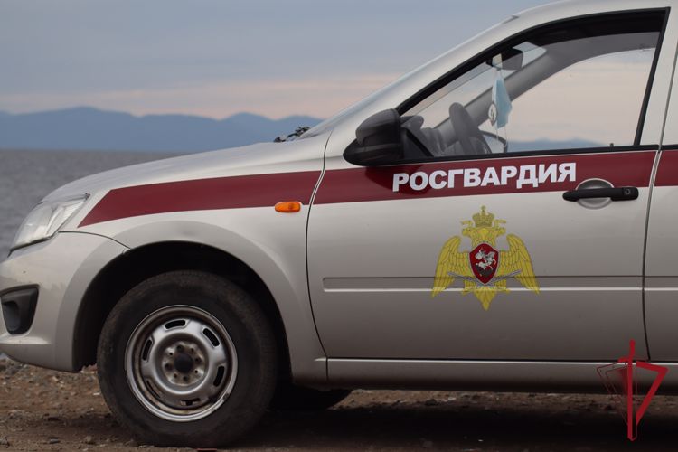 Итоги недели: сотрудники вневедомственной охраны задержали подозреваемого в совершении двух грабежей