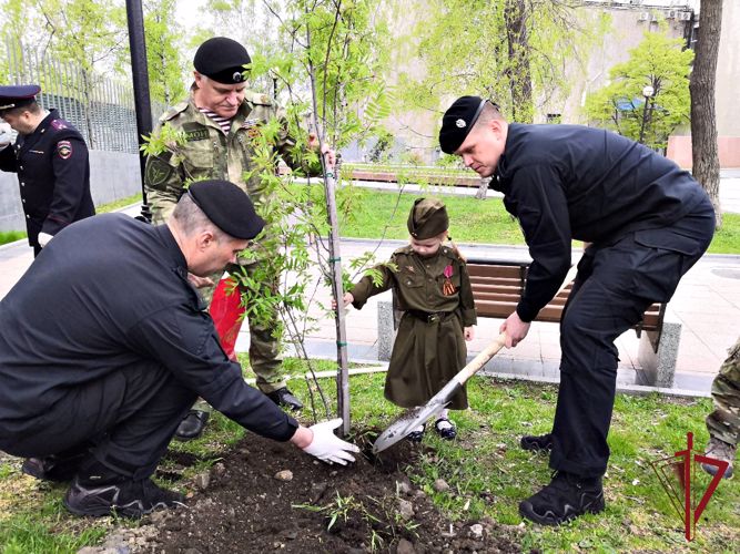 Во Владивостоке сотрудники ОМОН и СОБР высадили Аллею Героев