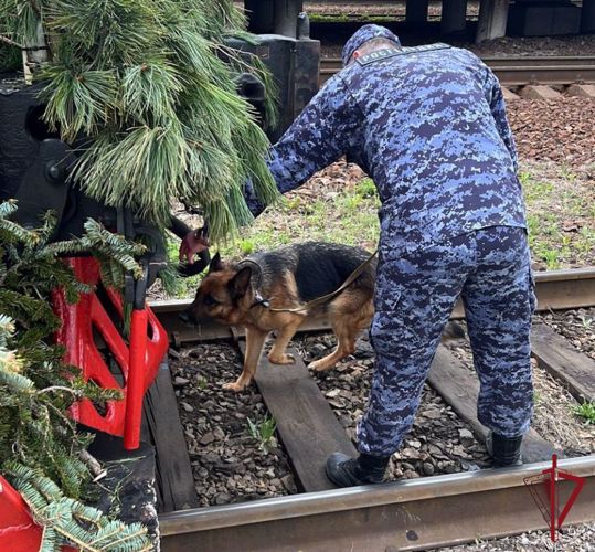 На железнодорожную станцию во Владивостоке под звуки военного оркестра Росгвардии прибыл поезд Победы