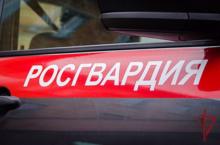 В Приморье сотрудники лицензионно-разрешительной работы за неделю провели 309 проверок мест хранения гражданского оружия