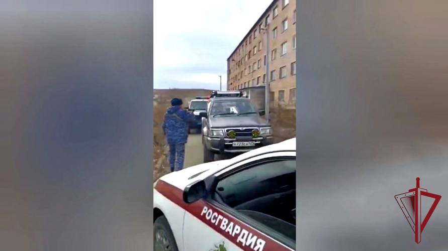 В Приморье росгвардейцы оказали помощь сотрудникам ДПС в задержании водителя внедорожника с признаками опьянения