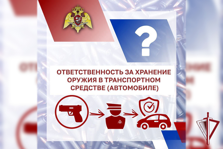 В Приморском крае сотрудники Росгвардии за неделю изъяли 56 единиц оружия  
