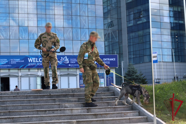 Сотрудники и военнослужащие Росгвардии приняли участие в обеспечении безопасности в период проведения Восточного экономического форума