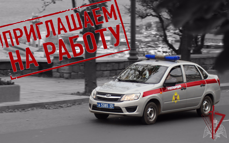 Проводится набор кандидатов на службу в подразделения Росгвардии