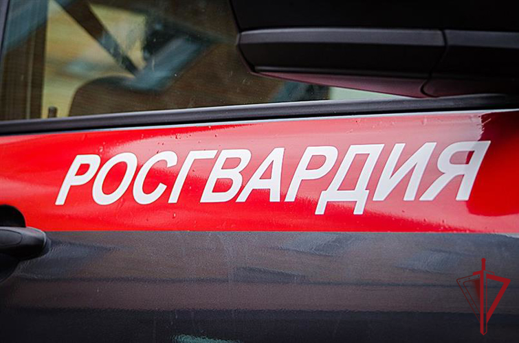 В Уссурийске росгвардейцы пресекли хулиганские действия местной жительницы