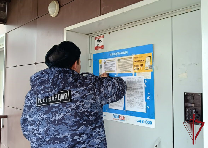 В Большом Камне и Арсеньеве росгвардейцы провели профилактическую акцию