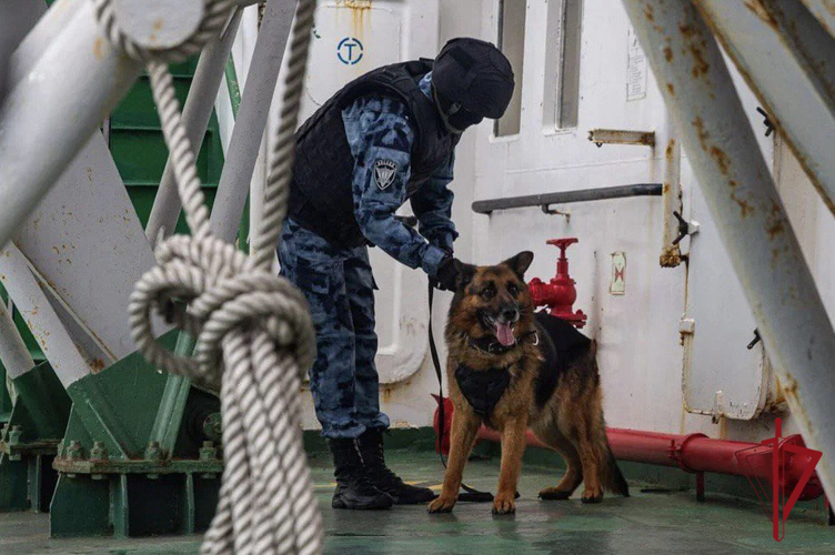 Служебная собака Росгвардии из Приморья стала одним из победителей в международной премии  