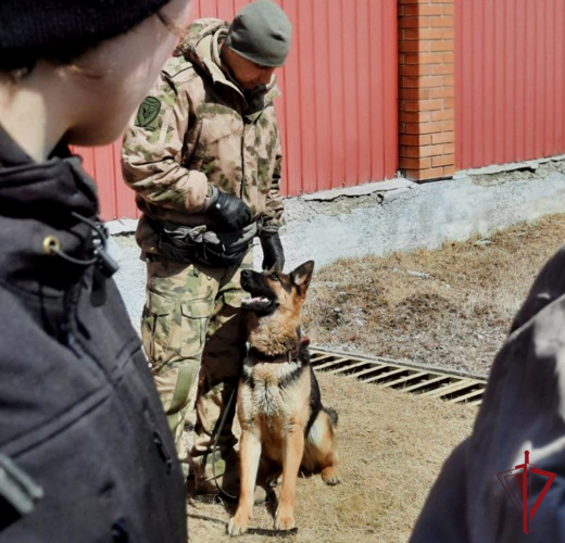 Юные кинологи из Владивостока побывали на экскурсии в ОМОН «Восход» в Уссурийске