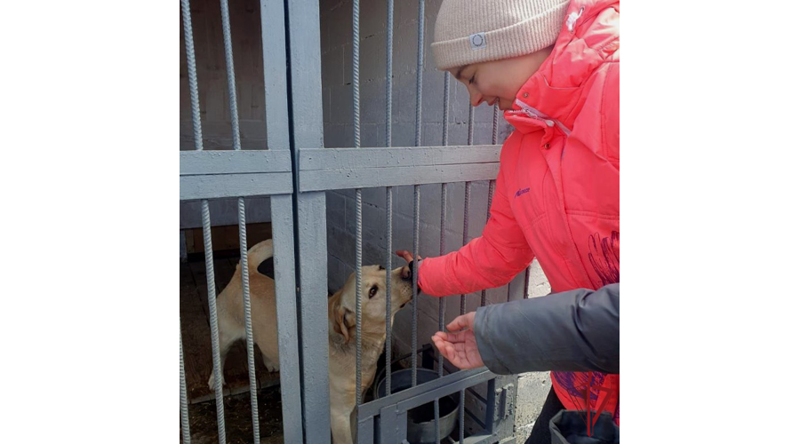 Юные кинологи из Владивостока побывали на экскурсии в ОМОН «Восход» в Уссурийске
