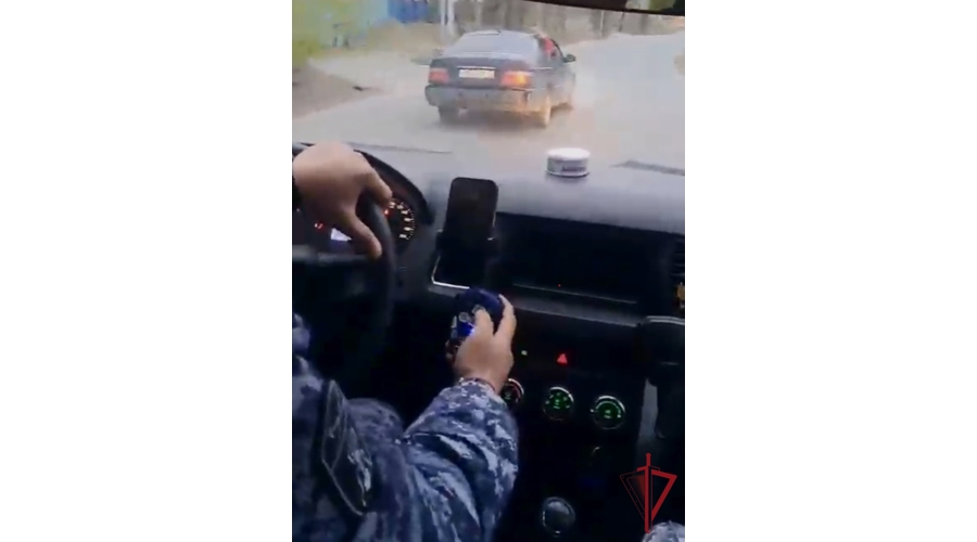 В пригороде Владивостока сотрудники Росгвардии задержали правонарушителя, скрывшегося с места ДТП