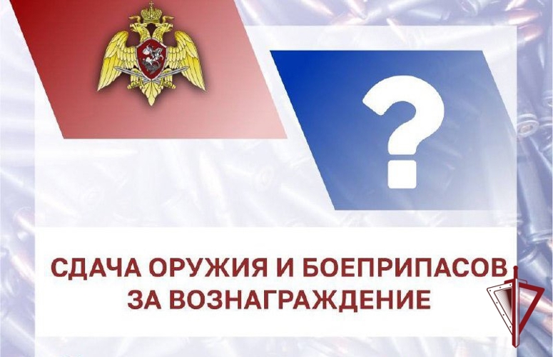 Сотрудники Росгвардии за неделю выявили 19 нарушений законодательства в сфере оборота оружия