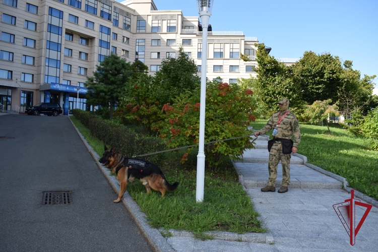 Сотрудники и военнослужащие Росгвардии приняли участие в обеспечении безопасности в период проведения X Восточного экономического форума
