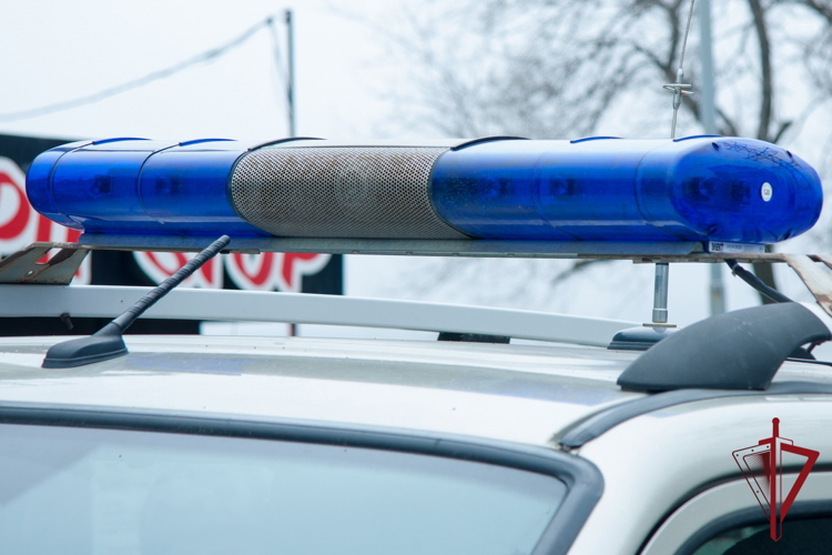 В Приморье росгвардейцы за неделю задержали 13 человек по подозрению в совершении преступлений