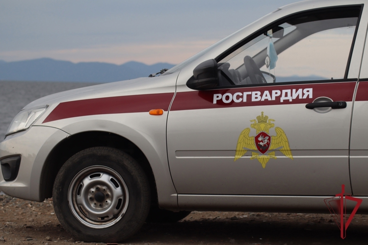 В Приморье сотрудники Росгвардии за минувшую неделю 203 раза выезжали на охраняемые объекты по сигналам «Тревога»