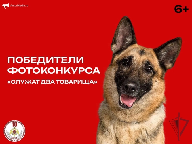 Приморский кинолог ОМОН со своим четвероногим  товарищем стал одним из призеров фотоконкурса «Служат два товарища»
