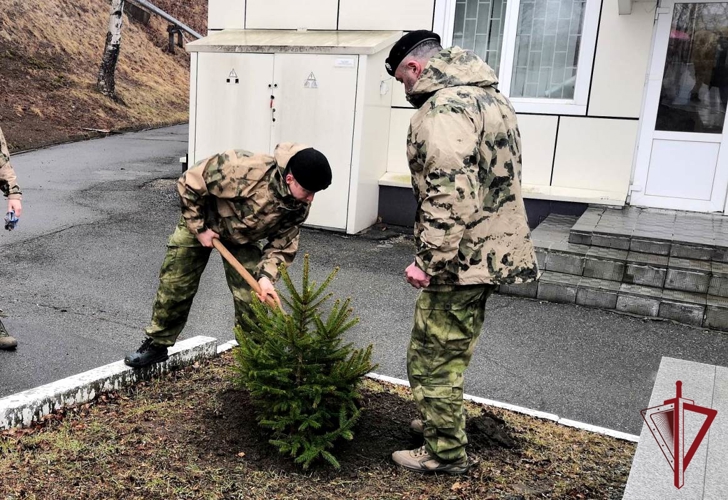 Во Владивостоке сотрудники ОМОН высадили Аллею памяти