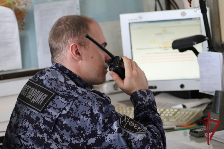В Приморье сотрудники Росгвардии дважды пресекли факты мелкого хулиганства