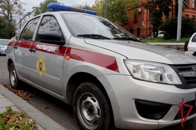В Приморье сотрудники Росгвардии задержали подозреваемого в совершении кражи