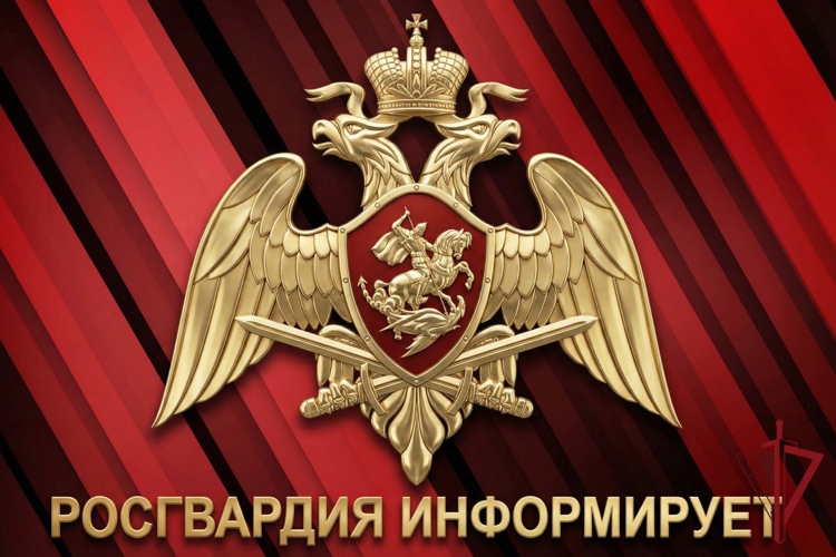 Владельцы оружия могут получить справку о наличии оружия дистанционно через электронный сервис Росгвардии